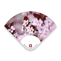 Eventail photographie fleurs de cerisier FENG design pascal*grossiord.