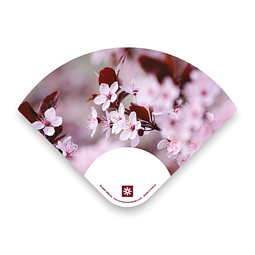 éventail fleurs de cerisier FENG | design pascal*grossiord.